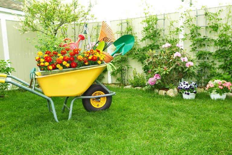 Jardines pequeños bonitos: 9 ideas con poco presupuesto 1