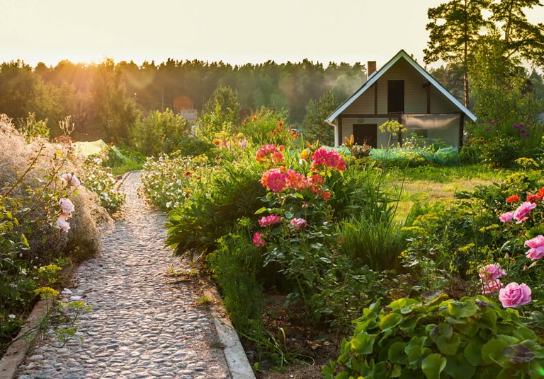 Jardines rústicos con piedras: 5 ideas naturales y fáciles 3 Jardines rústicos con piedras: 5 ideas naturales y fáciles 2