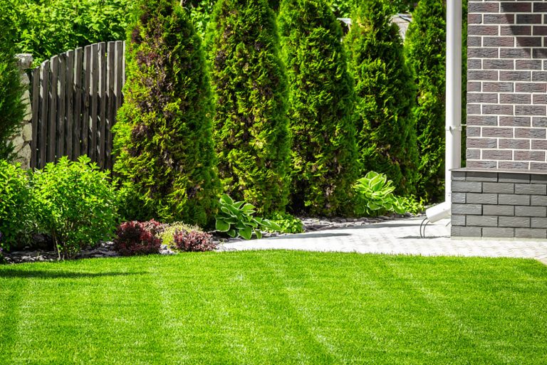 Cómo hacer jardines verticales: guía paso a paso 9 Cómo hacer jardines verticales: guía paso a paso 3