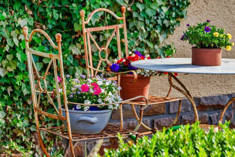 <b><center>Sillas de ratán y mimbre, un must have para decorar exteriores</b></center> 3